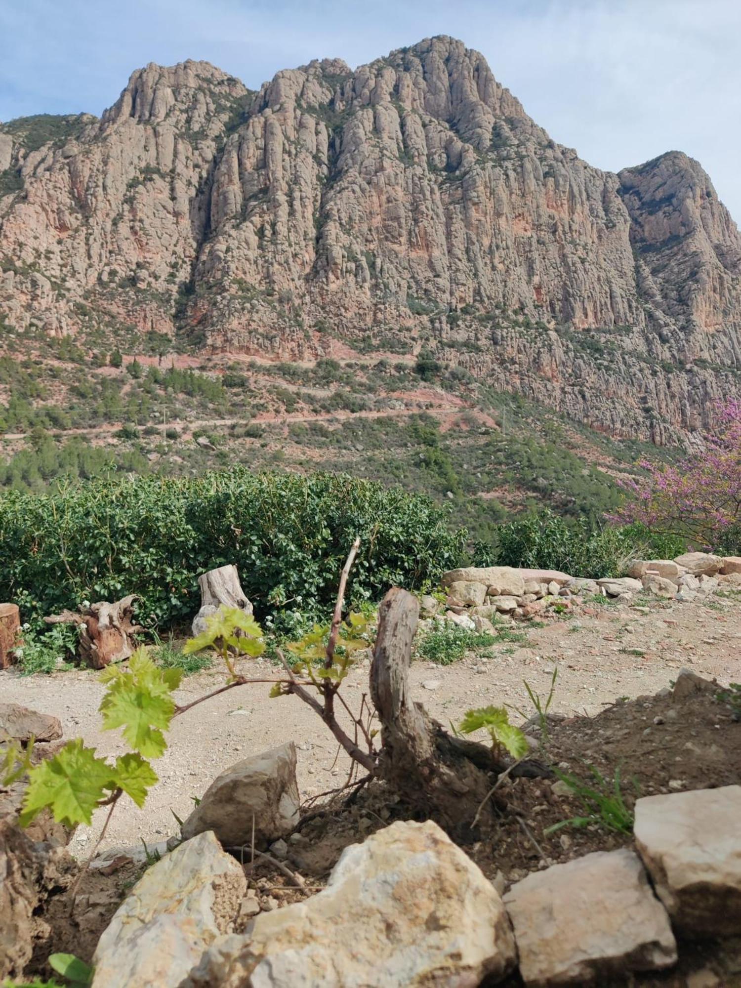 Cal Simon- Casa A Montserrat Collbató Esterno foto
